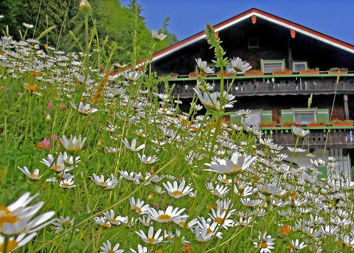 Gaestehaus Bergwald 3* ベルヒテスガーデン